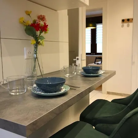 Appartement Nouveau - Le Shilichic - Gare Schiltigheim